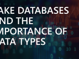 Lake Databases And The Importance of Data Types