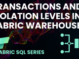 Transactions and Isolation Levels in Fabric Warehouse